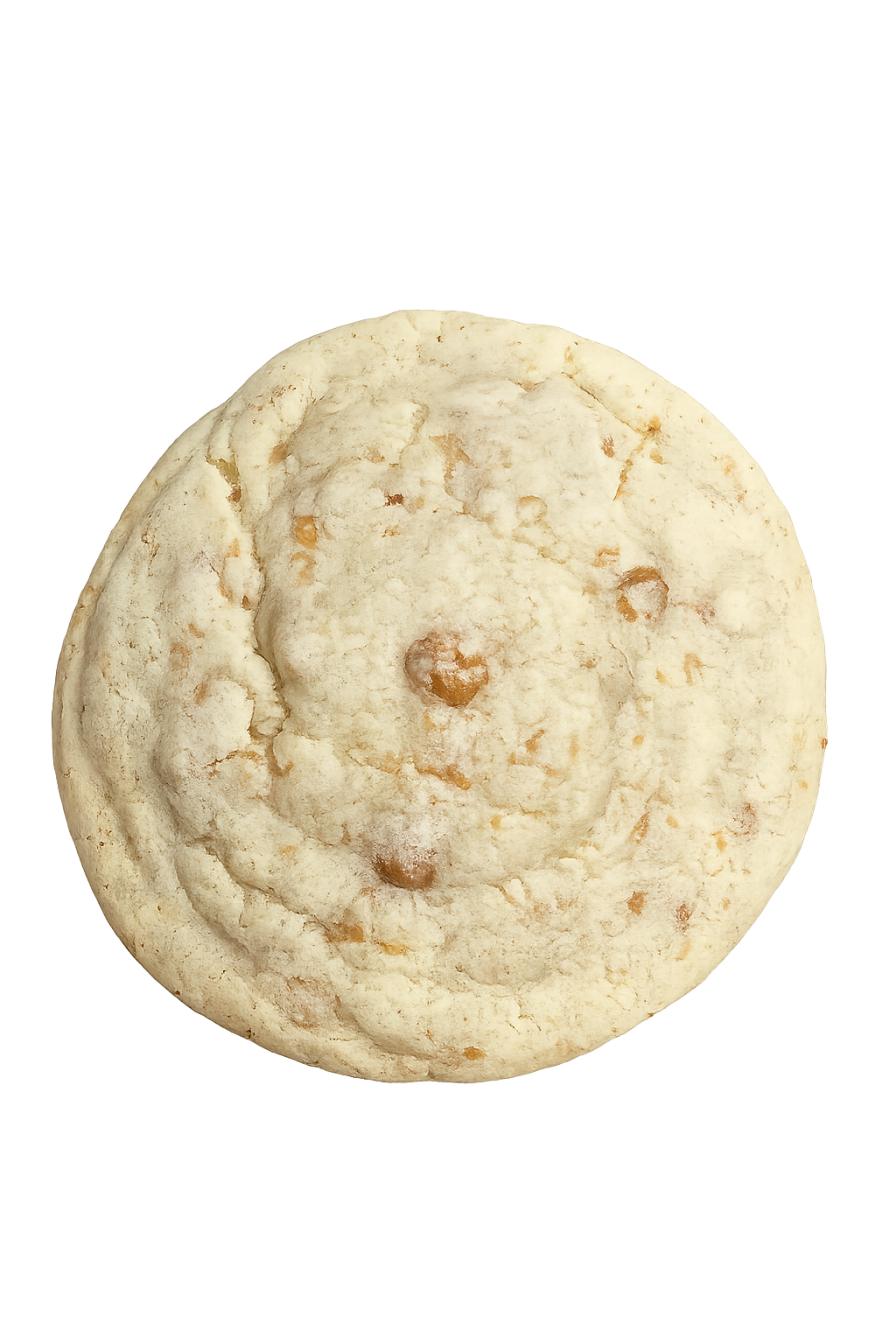 Quarter-Pound Bakery-Style Protein Cookies
