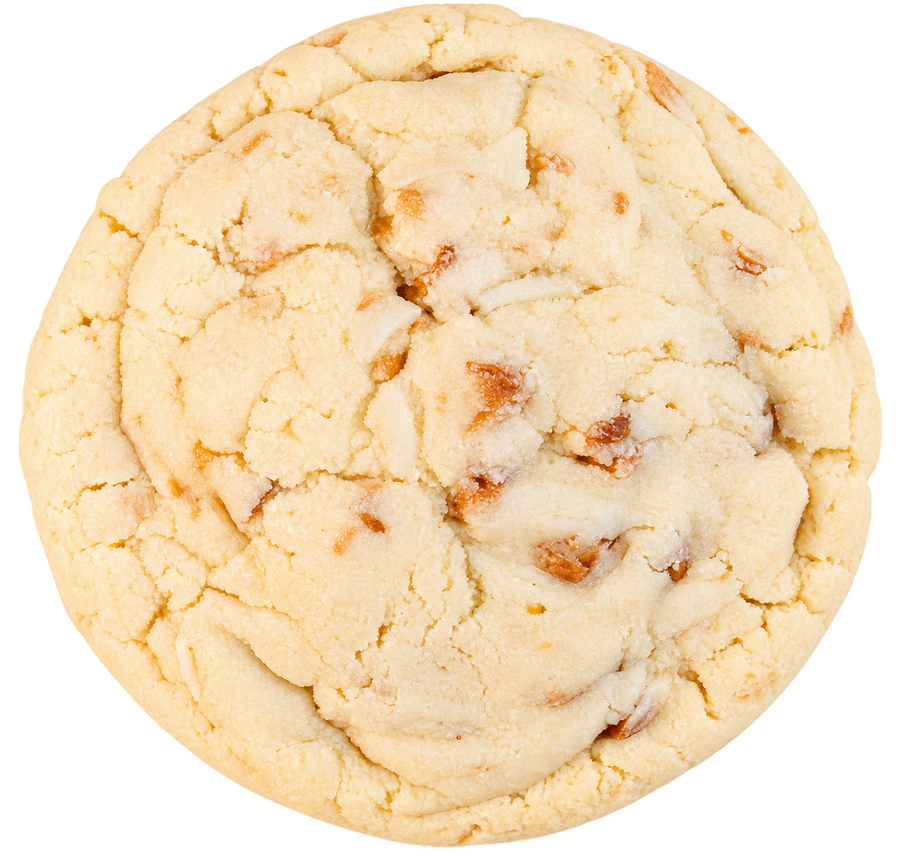 Toasted Coconutty Caramel  Protein Cookie