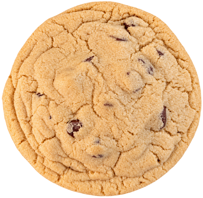 Chocolate Chip Protein Cookie from Protein Snack Shop