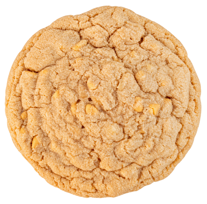 Oatmeal Scotchie Protein Cookie from Protein Snack Shop